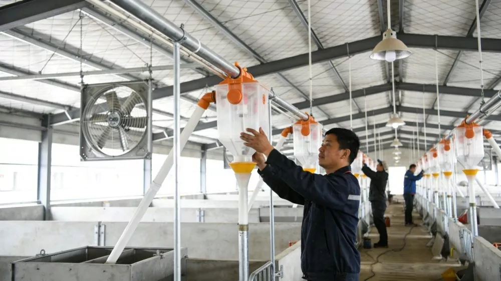 Steel Frame Farm