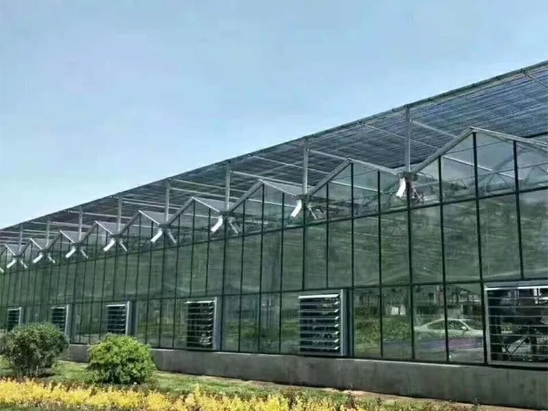 Hvad gør Steel Vertical Farm til fremtiden for bæredygtigt landbrug?